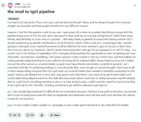 Screenshot 2025-05-07 at 22-41-54 the incel to tgirl pipeline r_MtF.webp