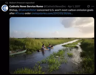 1746727499941.webp