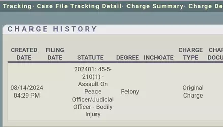 its-a-felony.webp