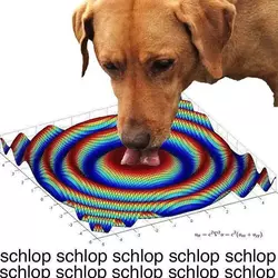 1746755260499.webp