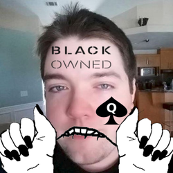 nvll submits to BVLL.webp