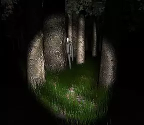 SLENDER - Copy.webp