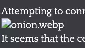 1746793064293.webp