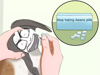 Ellen Cat Pills.webp