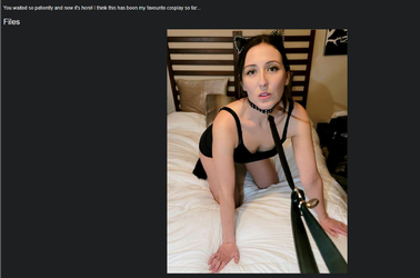 WTF.webp