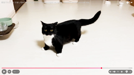 uni.webp