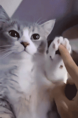 1719080360517884.gif