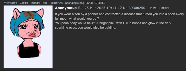 Untitled.webp
