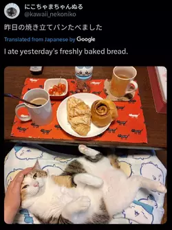 1746880896835.webp