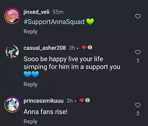 10 insta fan support 2.webp