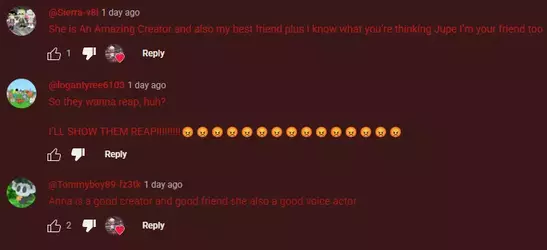 17 youtube fan support 4.webp