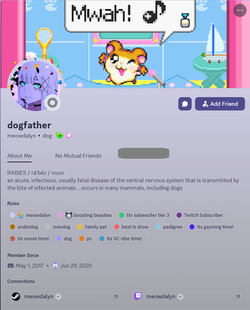 meowdalyndiscord.webp
