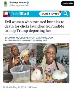 Deportation+is+too+good+for+her_d788a0_12478890.webp