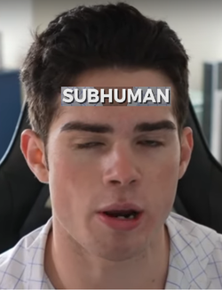 subspittle.webp