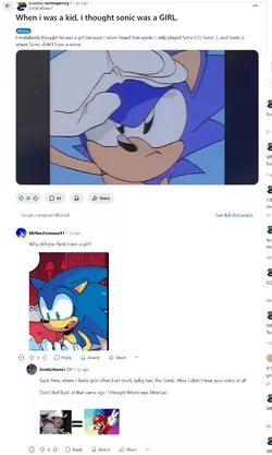 Screenshot 2025-05-12 at 01-05-47 When i was a kid i thought sonic was a GIRL. r_SonicTheHedg...webp
