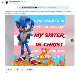 Screenshot 2025-05-12 at 01-11-29 Sonic supporting trans people r_SonicTheHedgehog.webp