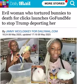 1747065868731.webp