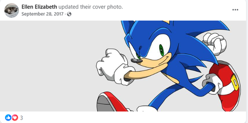 Sonic Fan.webp