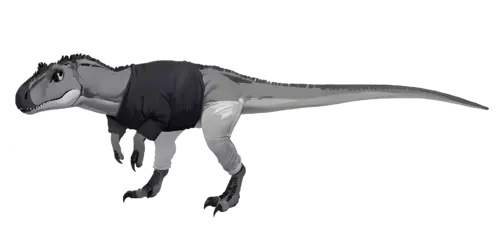 1747086739335.webp