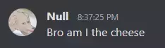 null-iamcheese.webp