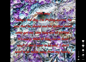 11.webp