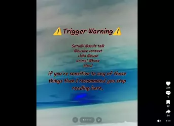 1747104592449.webp