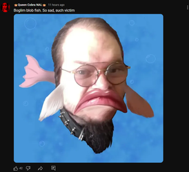 Screenshot 2025-05-13 102443.webp