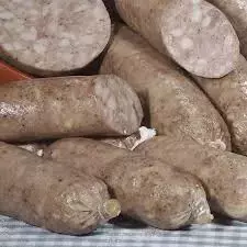 1747155410619.webp