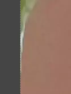 1747159391963.webp