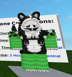 Screenshot 2025-05-13 190322.webp