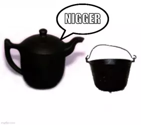 pot calls the kettle nigger.webp