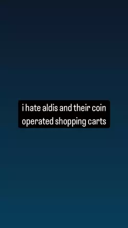 1747182254369.webp