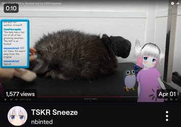 Screenshot_20250513_220727_Twitch.webp