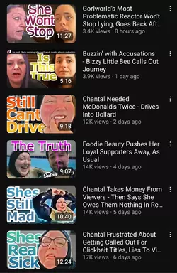 Screenshot_20250514_135205_YouTube.webp
