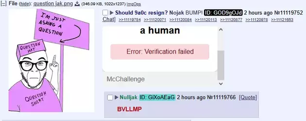 1747246157193.webp