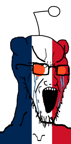 french soyak (stretched).webp