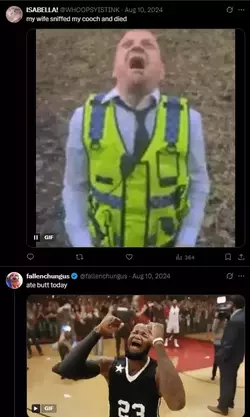 1747273207316.webp