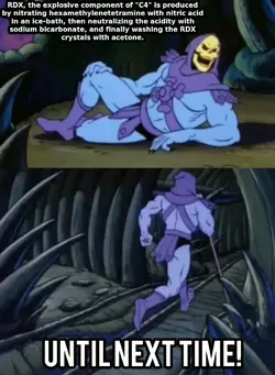 skeletor.webp