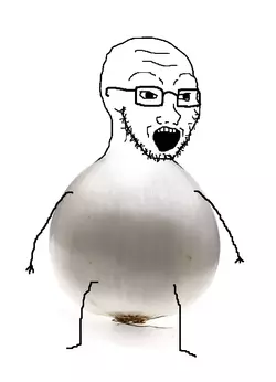 1747320823767.webp
