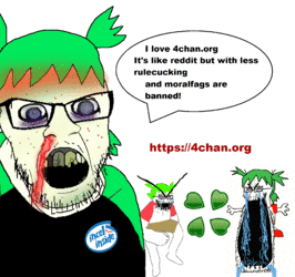 4chan.org.gif