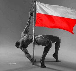poland.webp