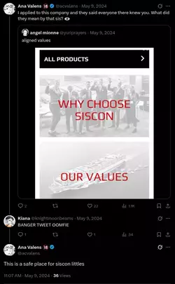 1747408619226.webp