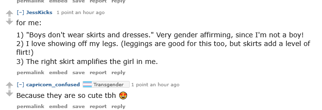 Screenshot 2025-05-16 at 10-37-36 Why do we love skirts and dresses so much MtF.webp