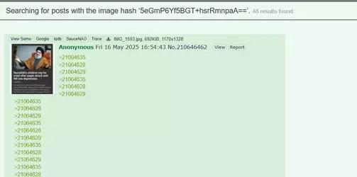 1747418158226.webp