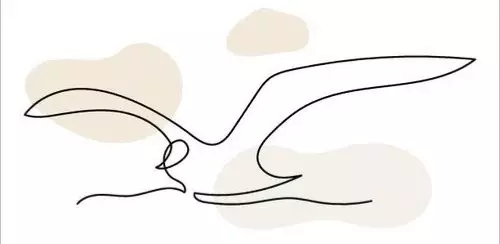 flying-seagull-line-art-contour-drawing-minimalism-art.webp