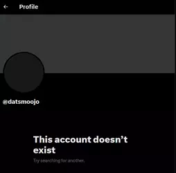 1747451195947.webp