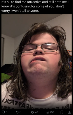 nova-anisa-delusional-meme.webp