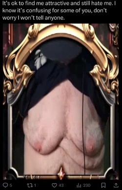 ralph-anisa-delusional-meme.webp