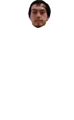 Synth Face.webp