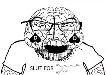 1747514042670.webp